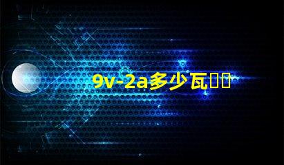 9v-2a多少瓦？